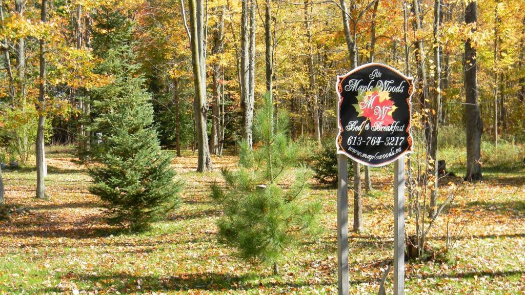 Casselman Maple Woods Bed & Breakfast エクステリア 写真